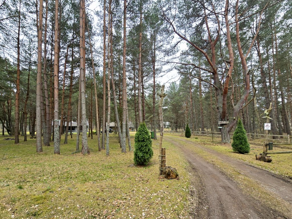 20250321_134416-1024x768