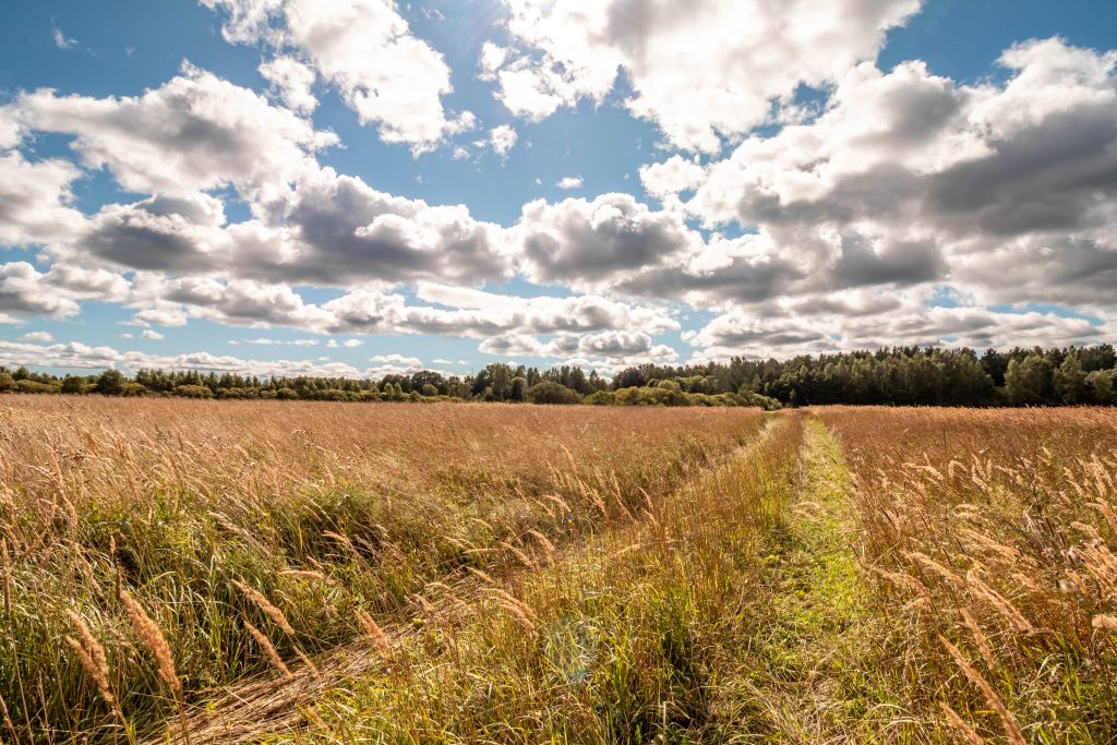 MG_4599-HDR-1024x683